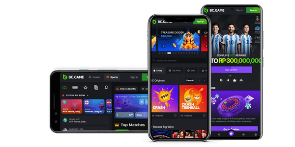 BC.Game বাংলাদেশে রেজিস্ট্রেশন গাইড -183438827